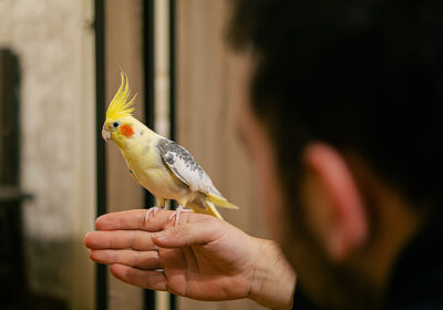 AdobeStock_697830247-scaled-2